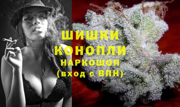 дмт Переславль-Залесский
